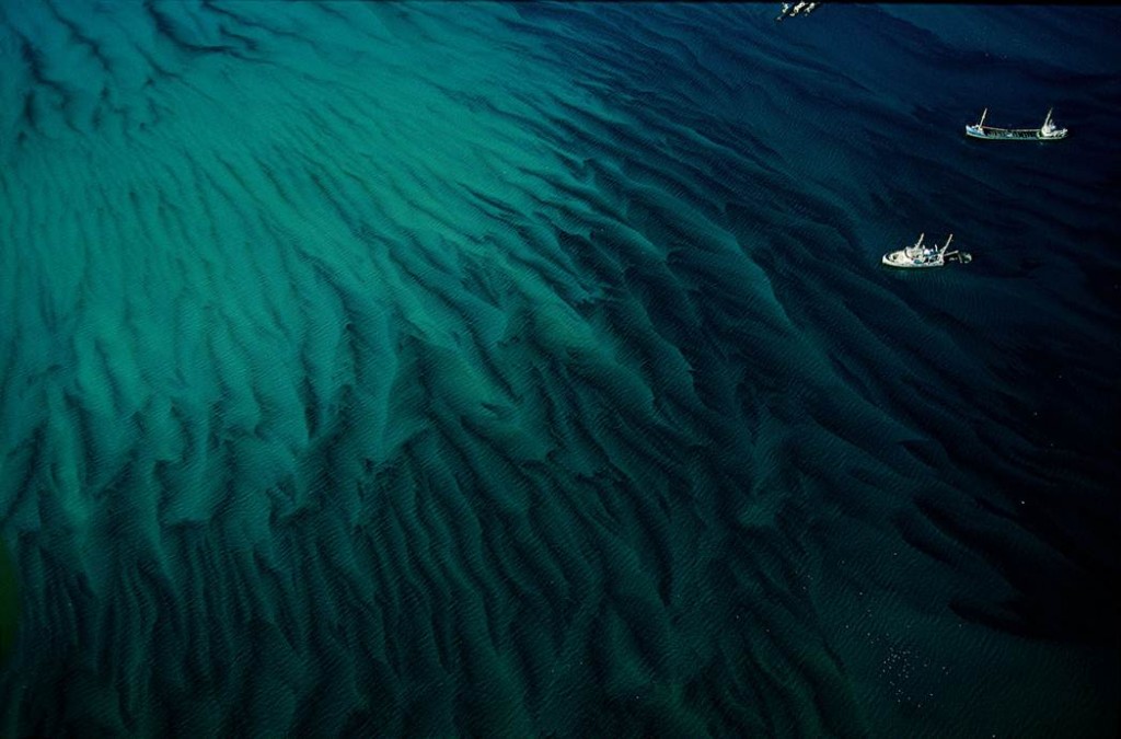 海洋星球剧照的剧照