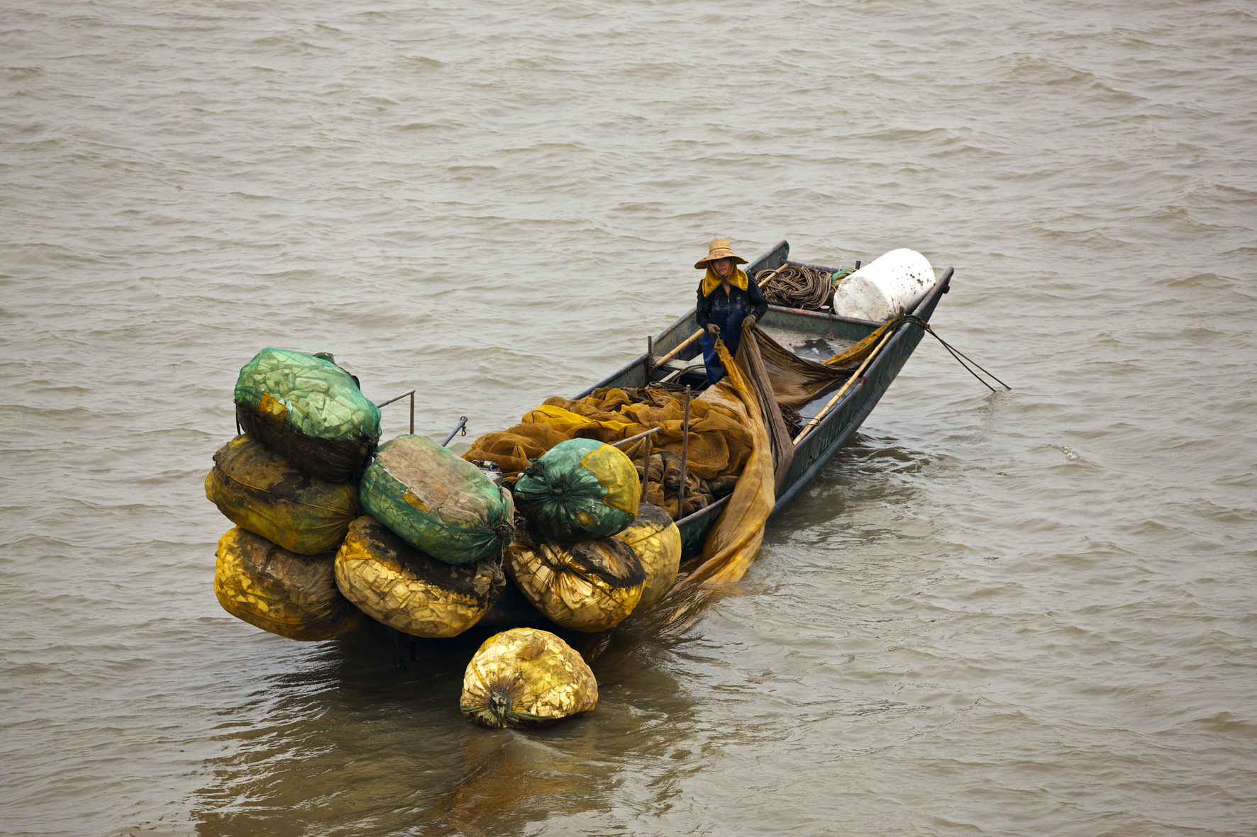 海洋星球剧照的剧照