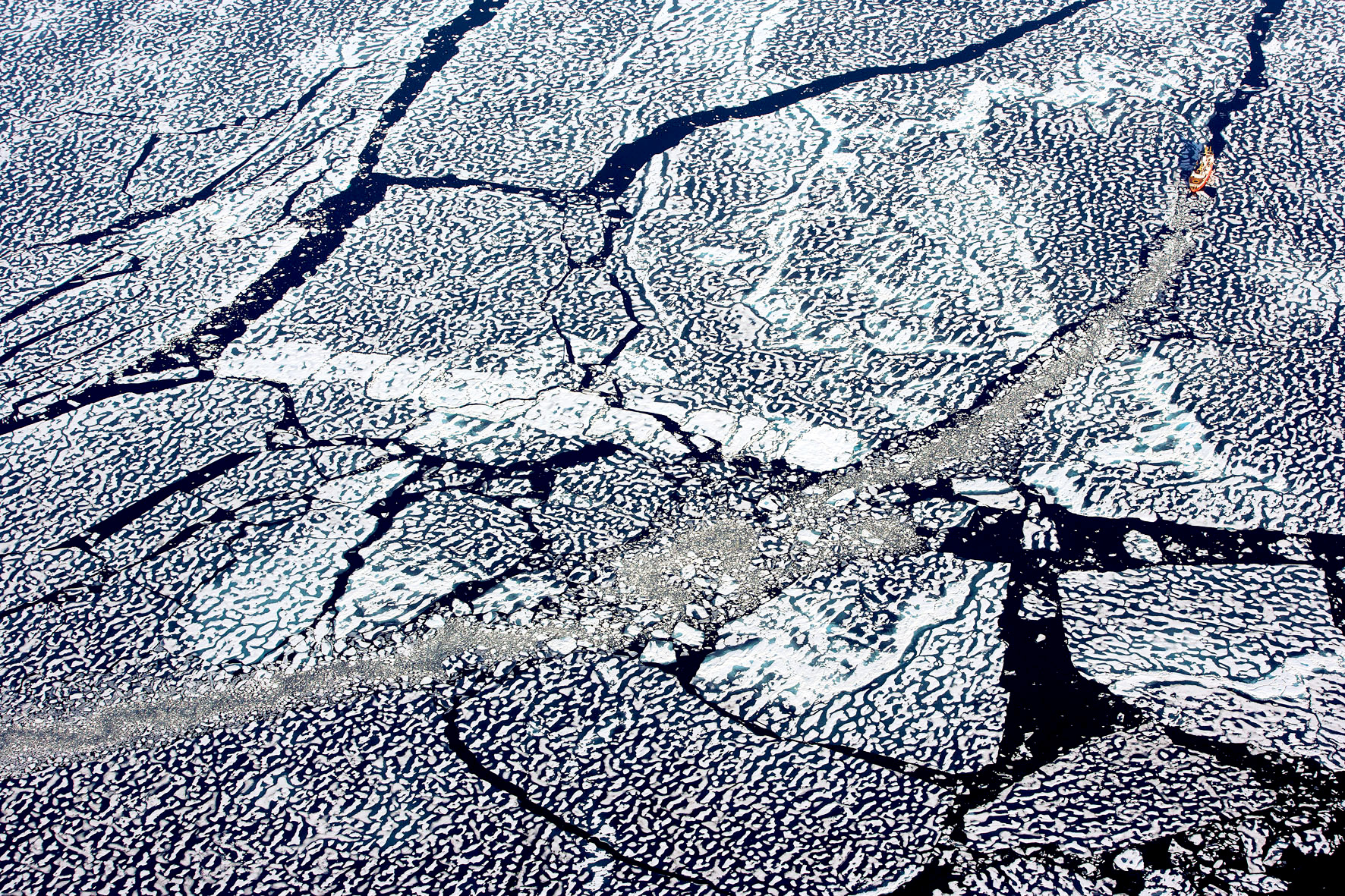 海洋星球剧照的剧照