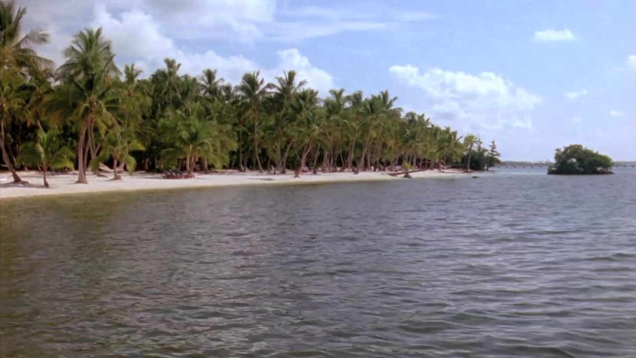 玩尽杀绝4：四人组剧照的剧照