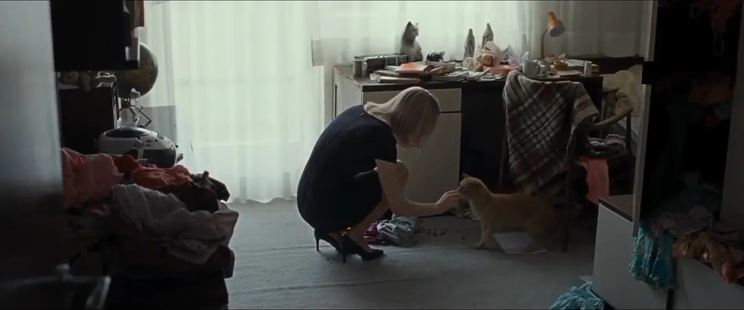 脚下的土地剧照的剧照