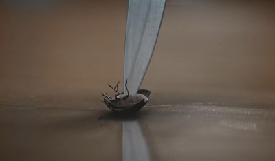 法医追凶剧照的剧照