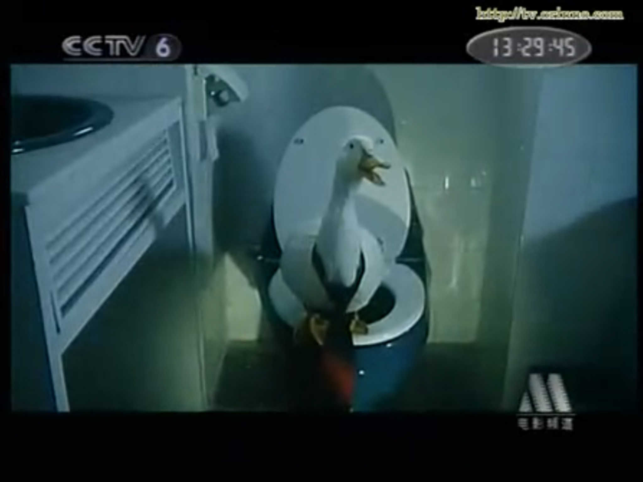 小娇妻剧照的剧照