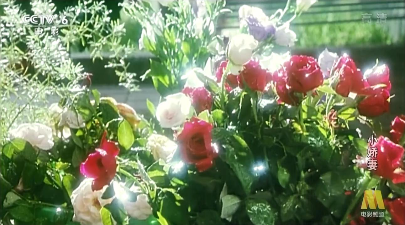 小娇妻剧照的剧照