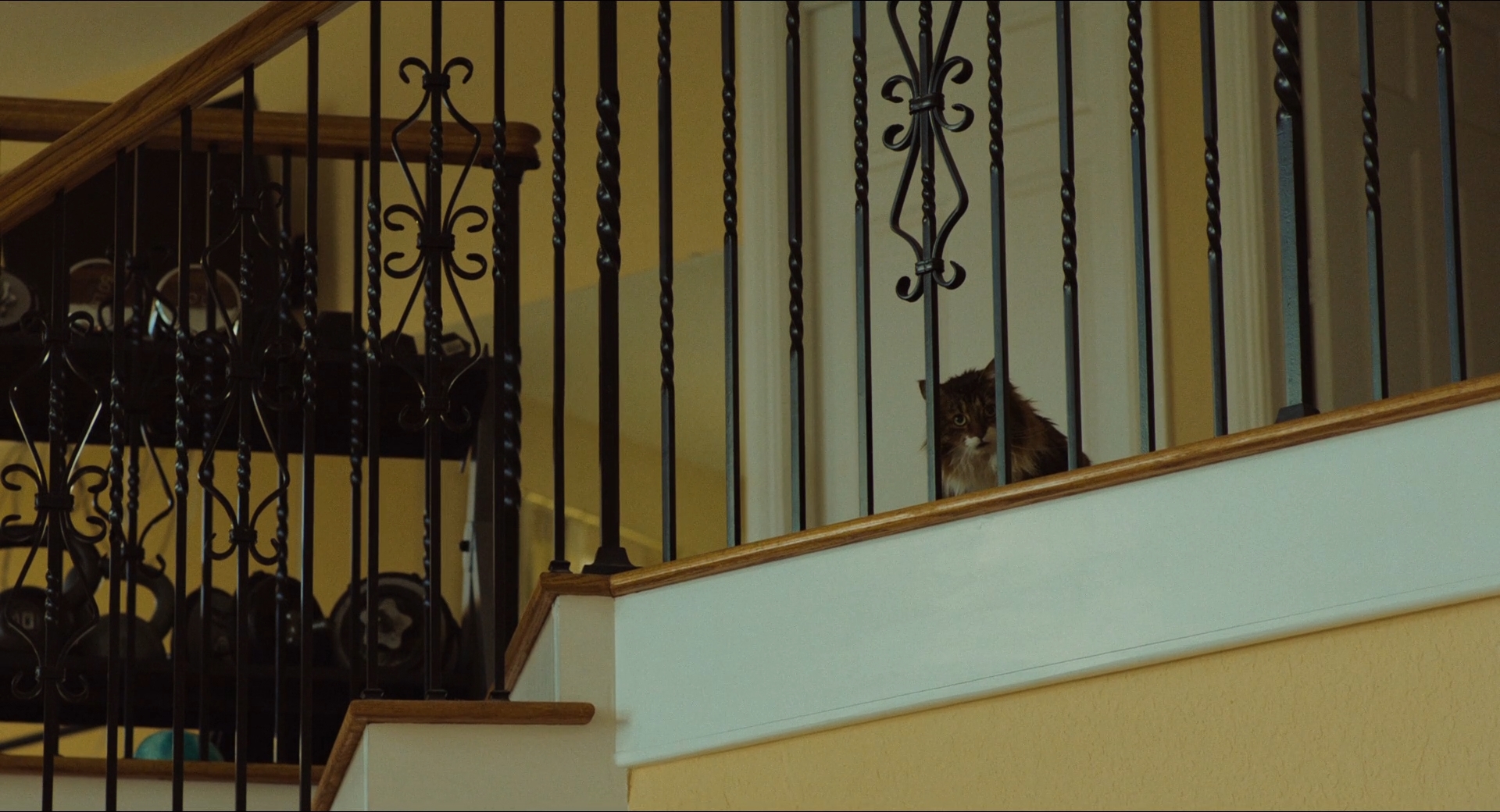 浪潮剧照的剧照