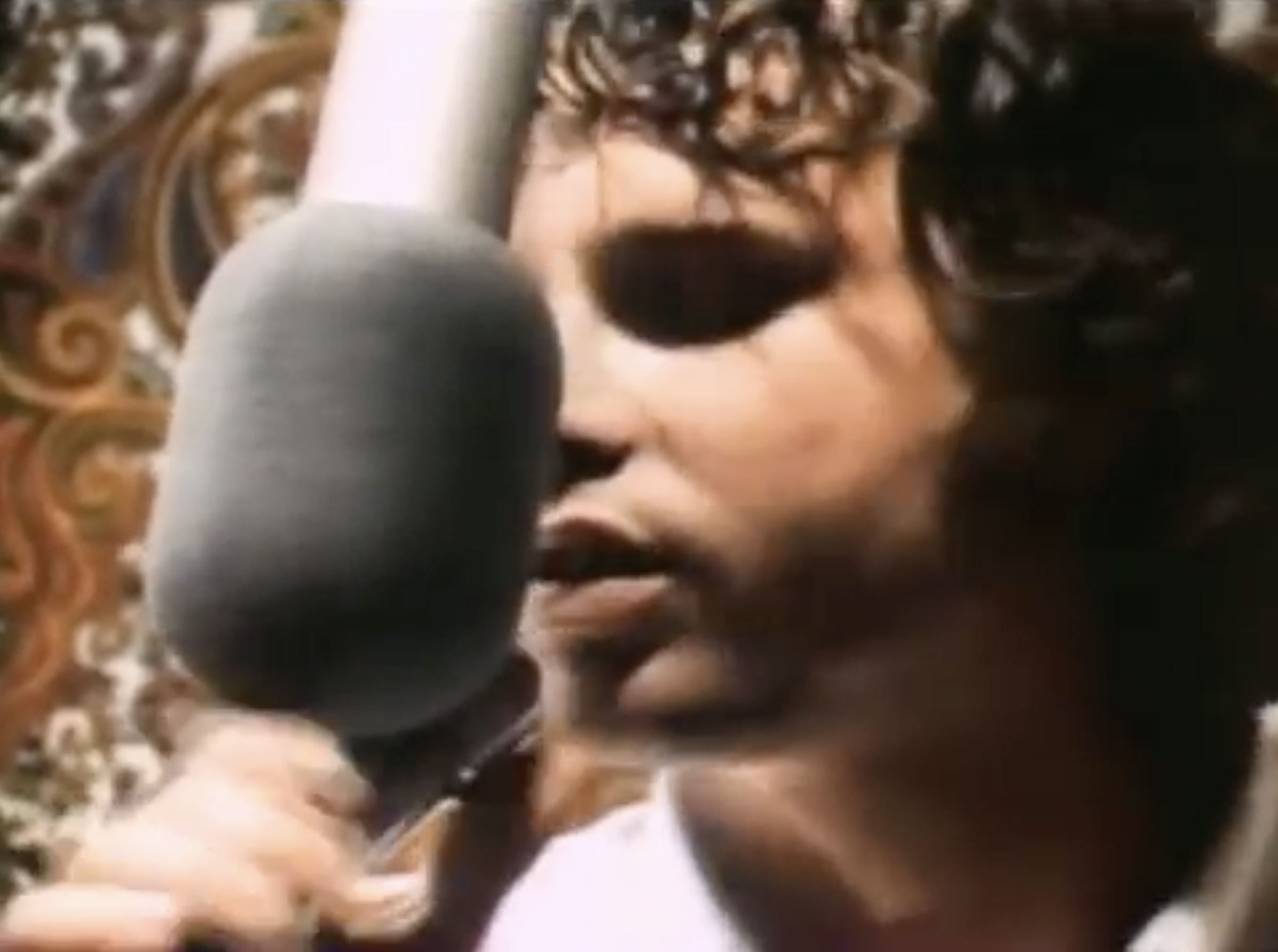 大门乐队：温和游行剧照的剧照