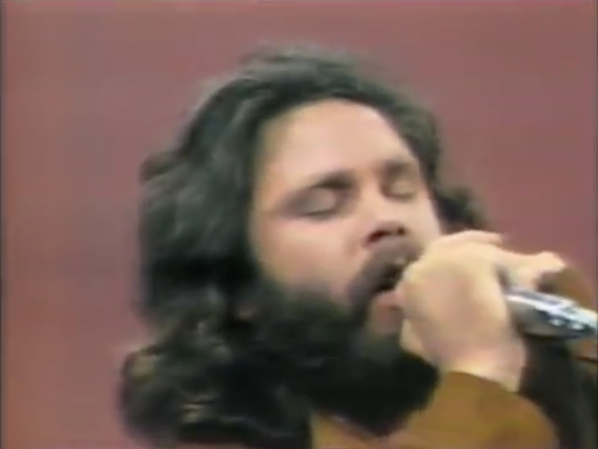 大门乐队：温和游行剧照的剧照