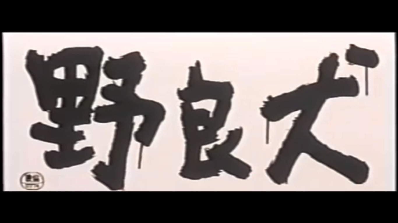 野良犬剧照的剧照