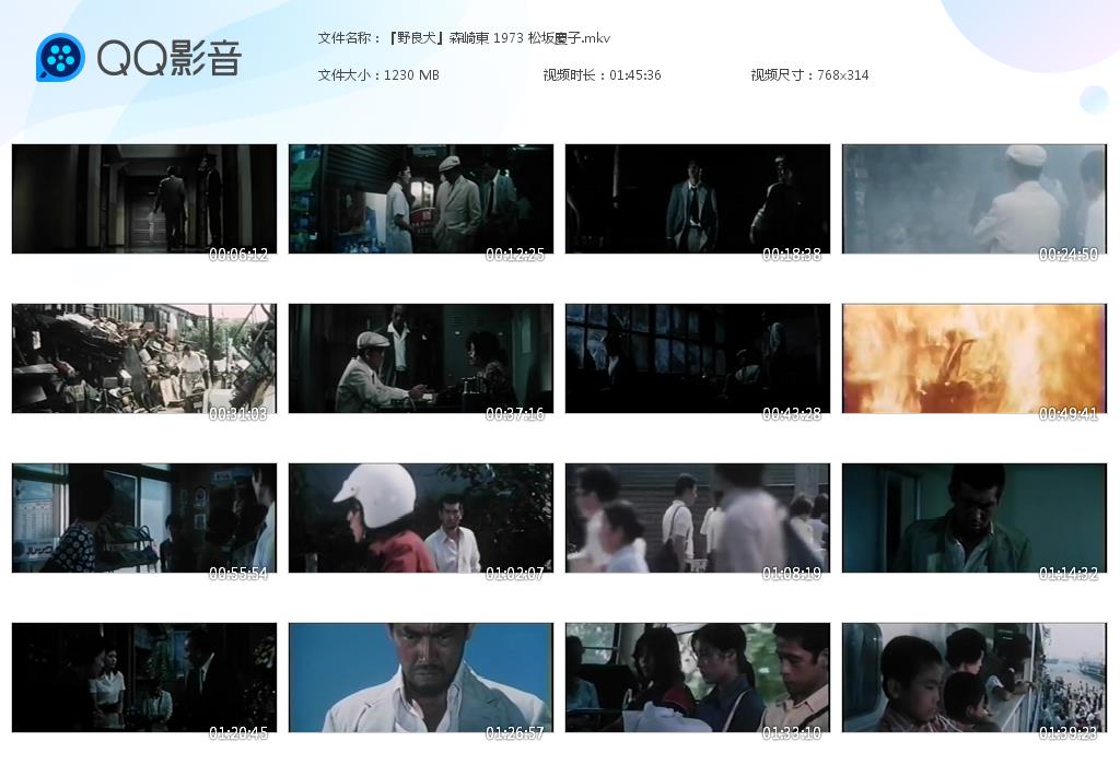 野良犬剧照的剧照