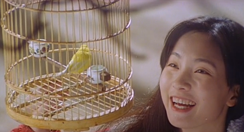 黑眼睛剧照的剧照