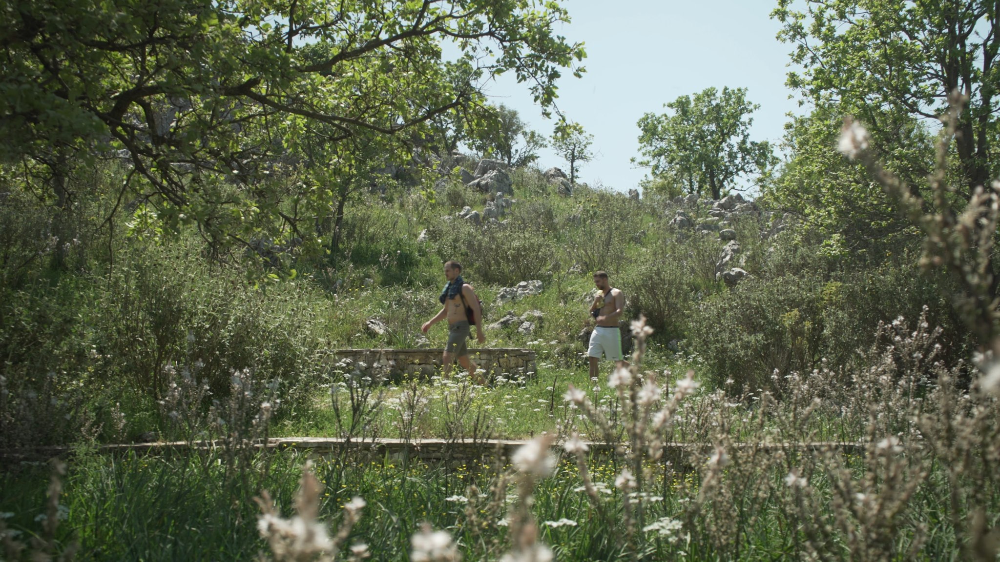 奥菲斯恋歌剧照的剧照