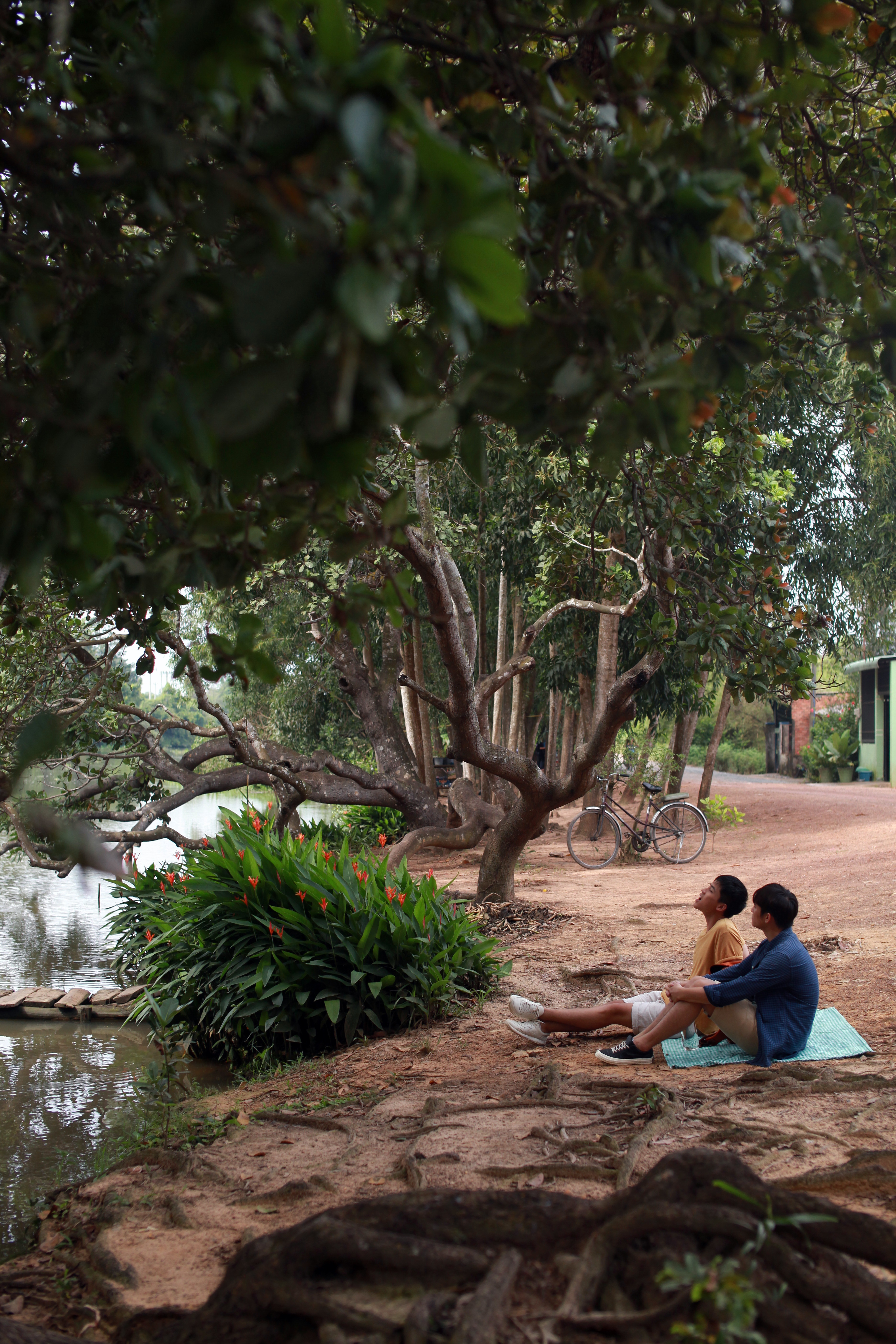 再见，妈妈剧照的剧照