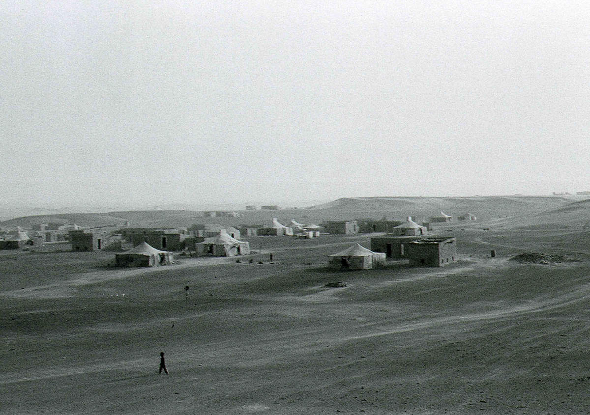 遗落之地剧照的剧照