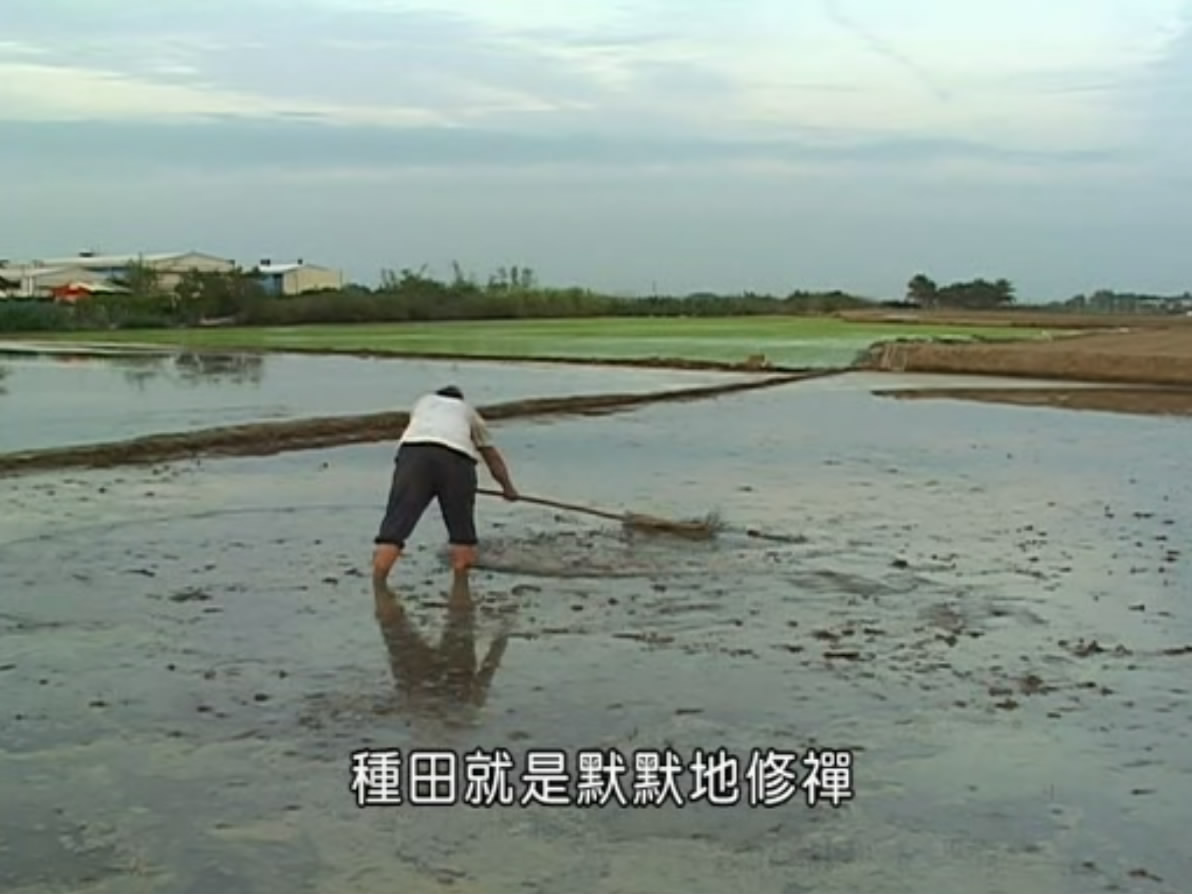 无米乐剧照的剧照