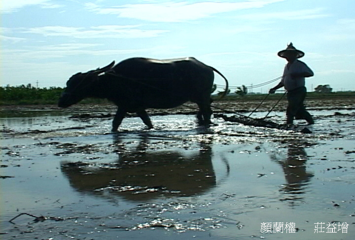 无米乐剧照的剧照
