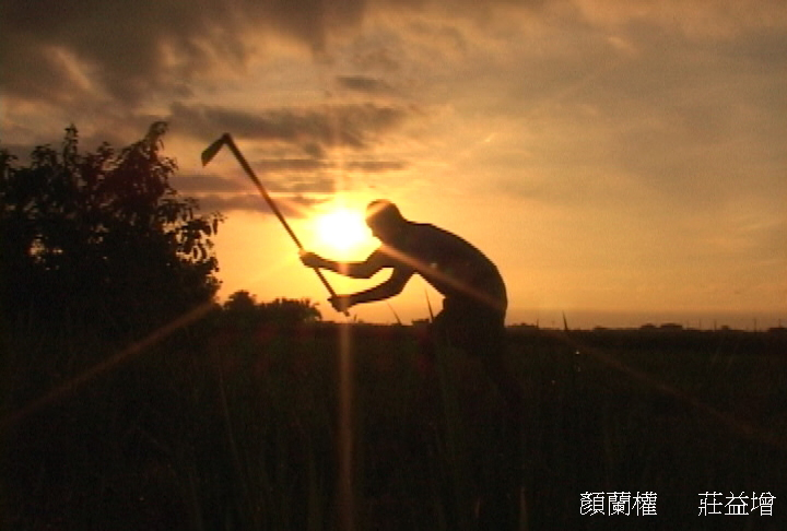 无米乐剧照的剧照