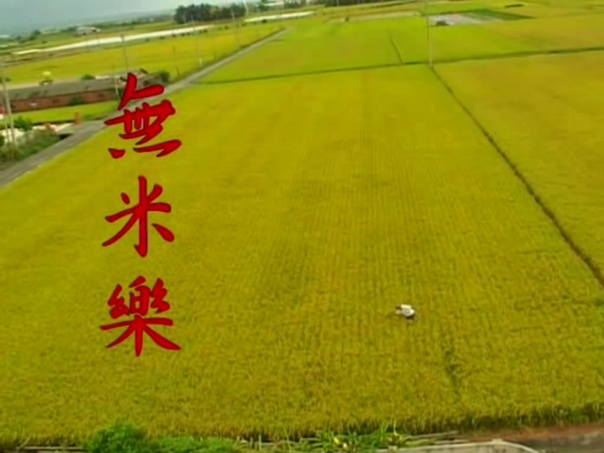 无米乐剧照的剧照