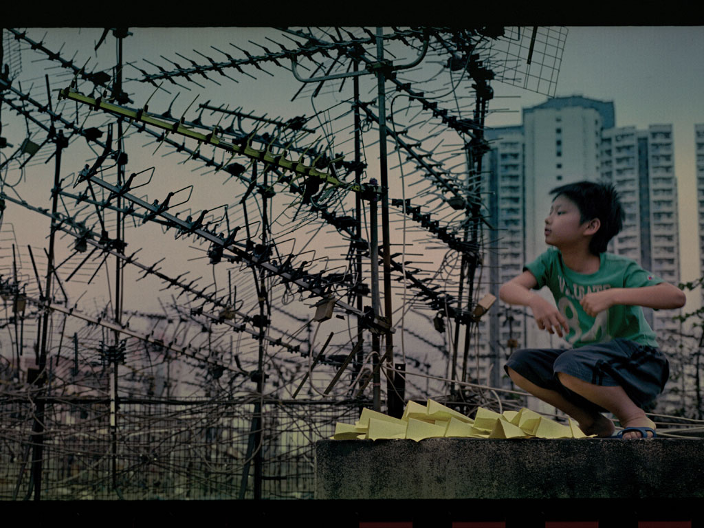 野·良犬剧照的剧照