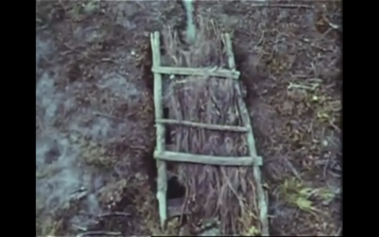 我们是一个人剧照的剧照