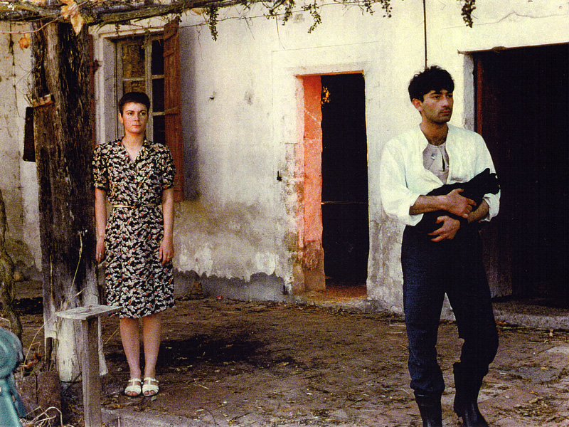 我们是一个人剧照的剧照