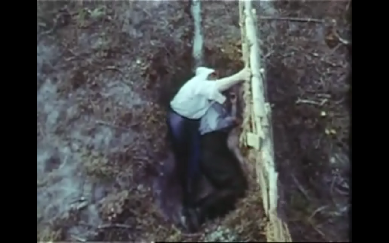 我们是一个人剧照的剧照