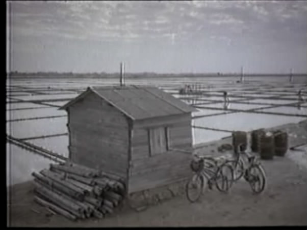 八番坑口的新娘剧照的剧照