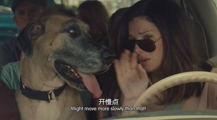 辣手警花剧照的剧照