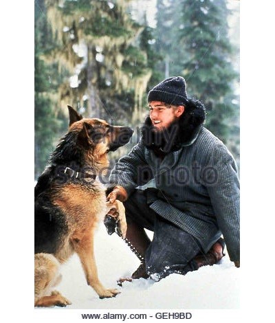 野性的呼唤剧照的剧照