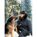 野性的呼唤剧照