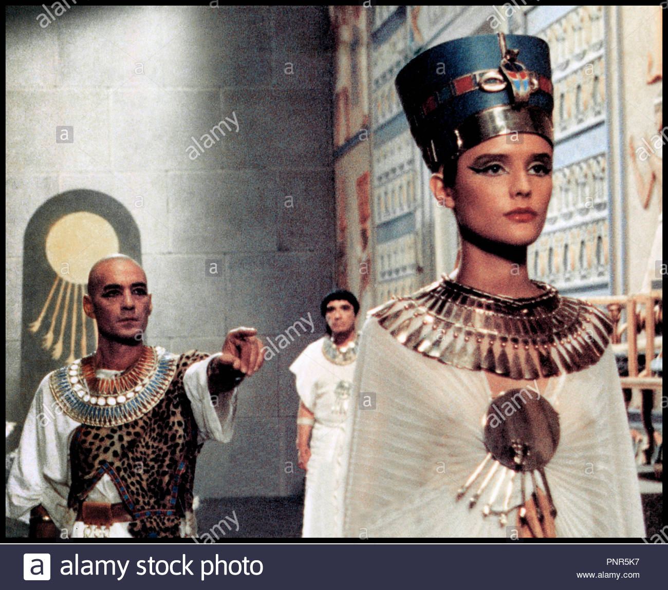 娜芙蒂蒂剧照的剧照