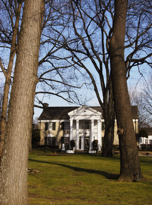 猫王剧照的剧照