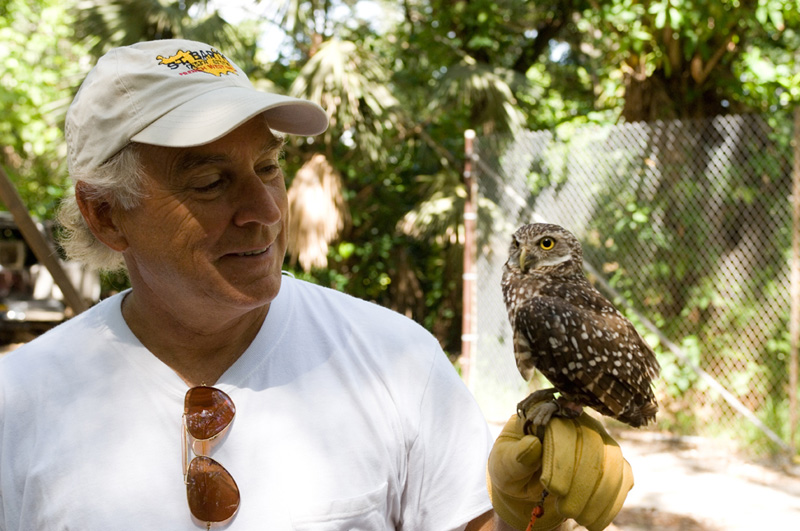 我爱猫头鹰剧照的剧照