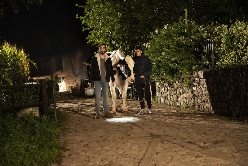 十七岁剧照的剧照