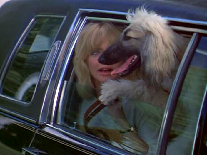 小迷糊平步青云剧照的剧照