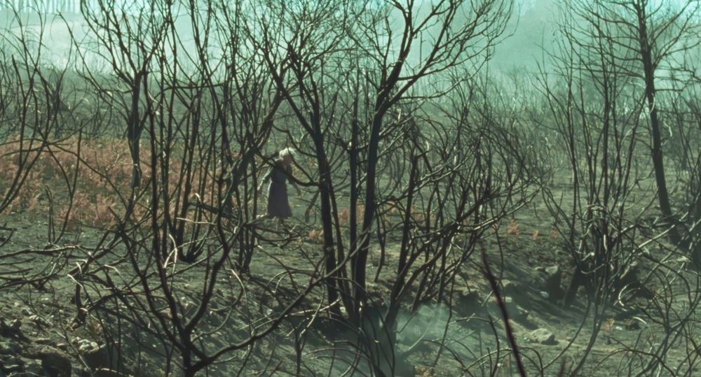 大火将至剧照的剧照