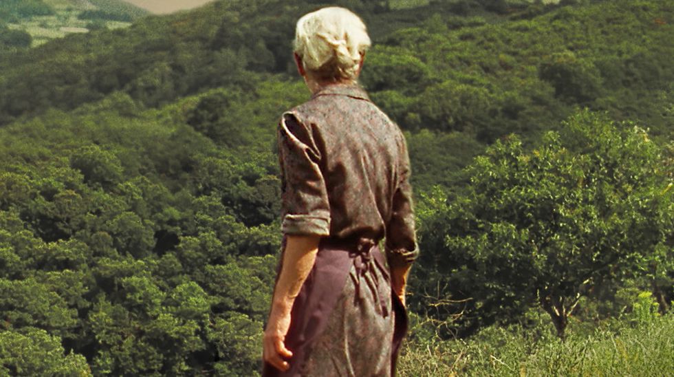 大火将至剧照的剧照