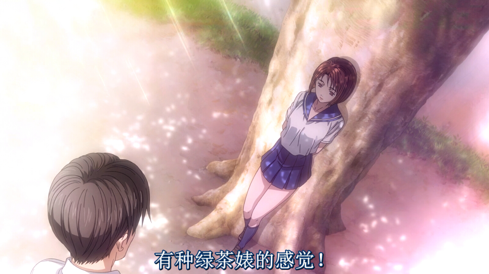 头文字D新剧场版：觉醒剧照的剧照