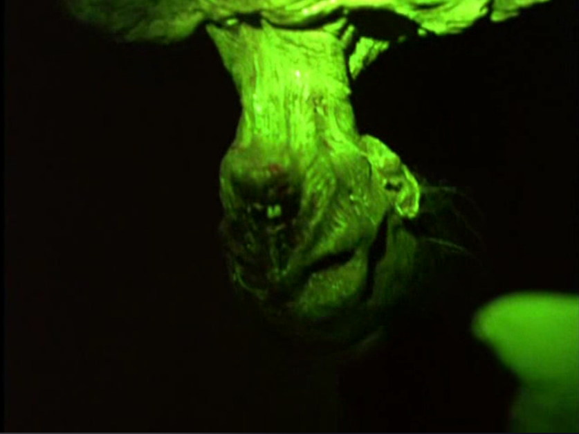 守护天使剧照的剧照