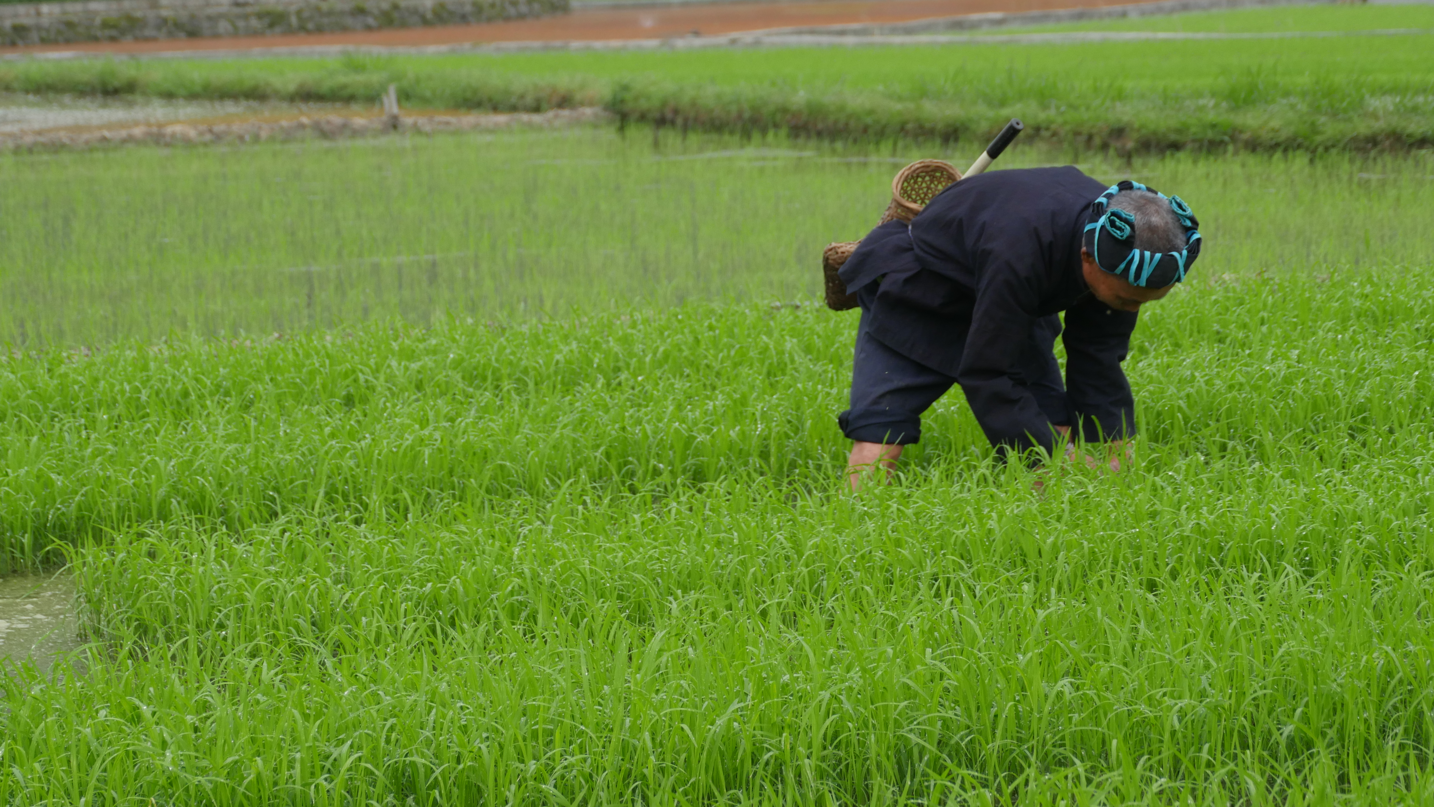 璀璨薪火3D剧照的剧照