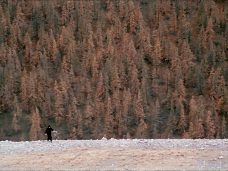 搜游宝剧照的剧照