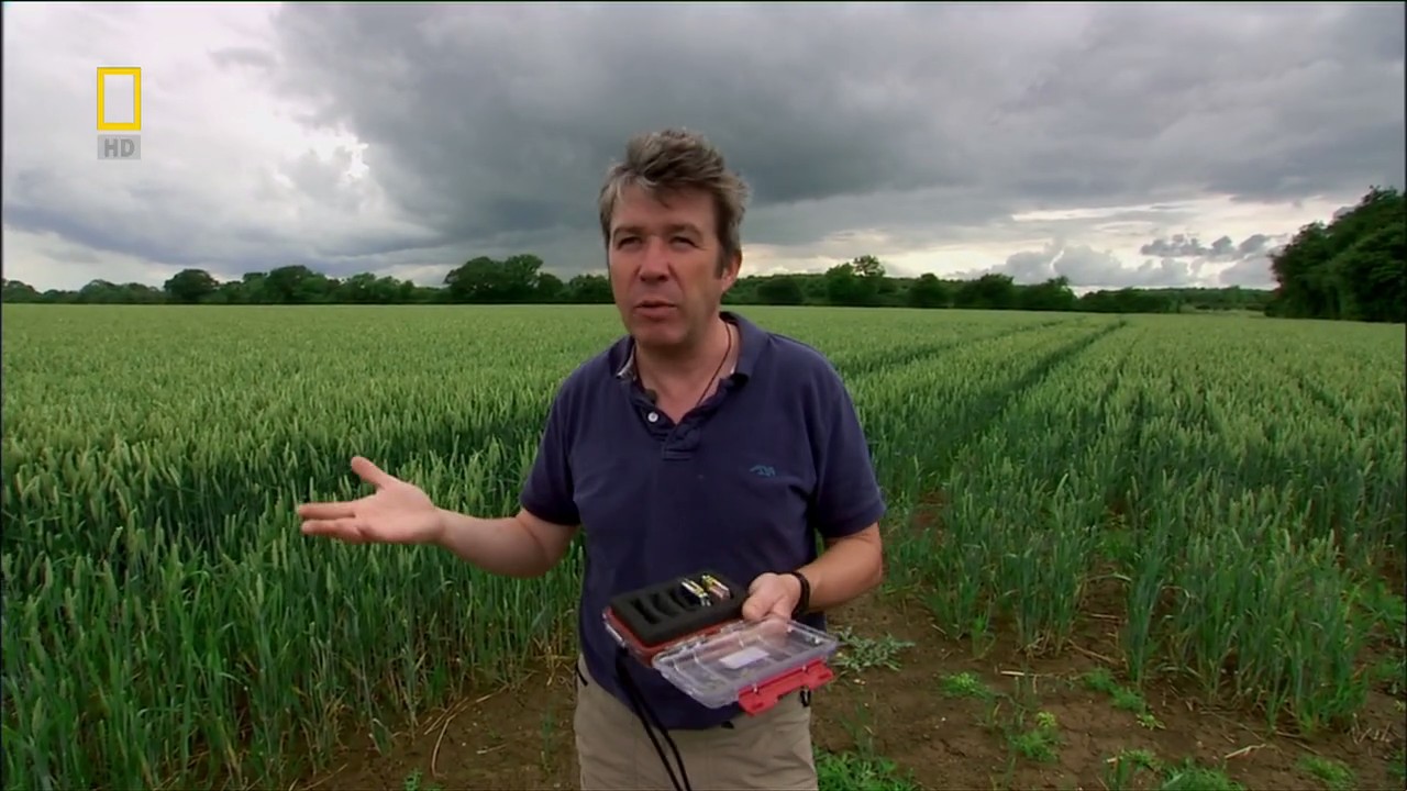 国家地理：动物天才之鸽子剧照的剧照