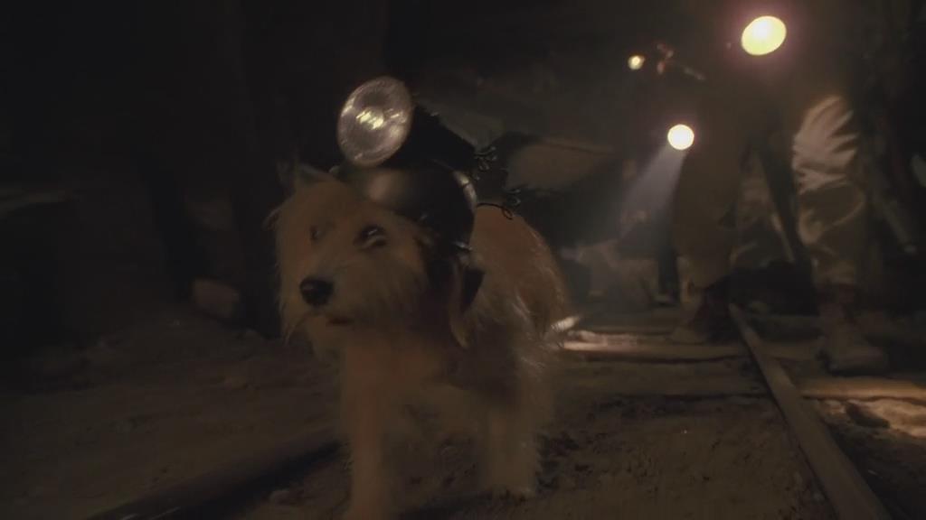 回到未来3剧照的剧照