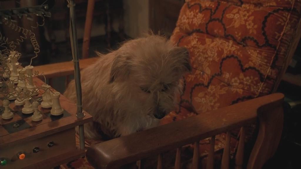 回到未来3剧照的剧照