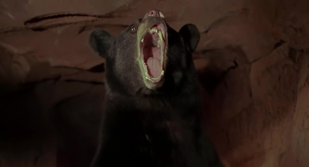 回到未来3剧照的剧照