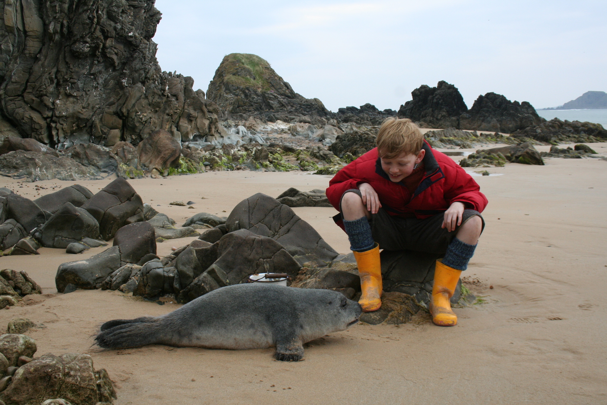 彩虹照耀剧照的剧照