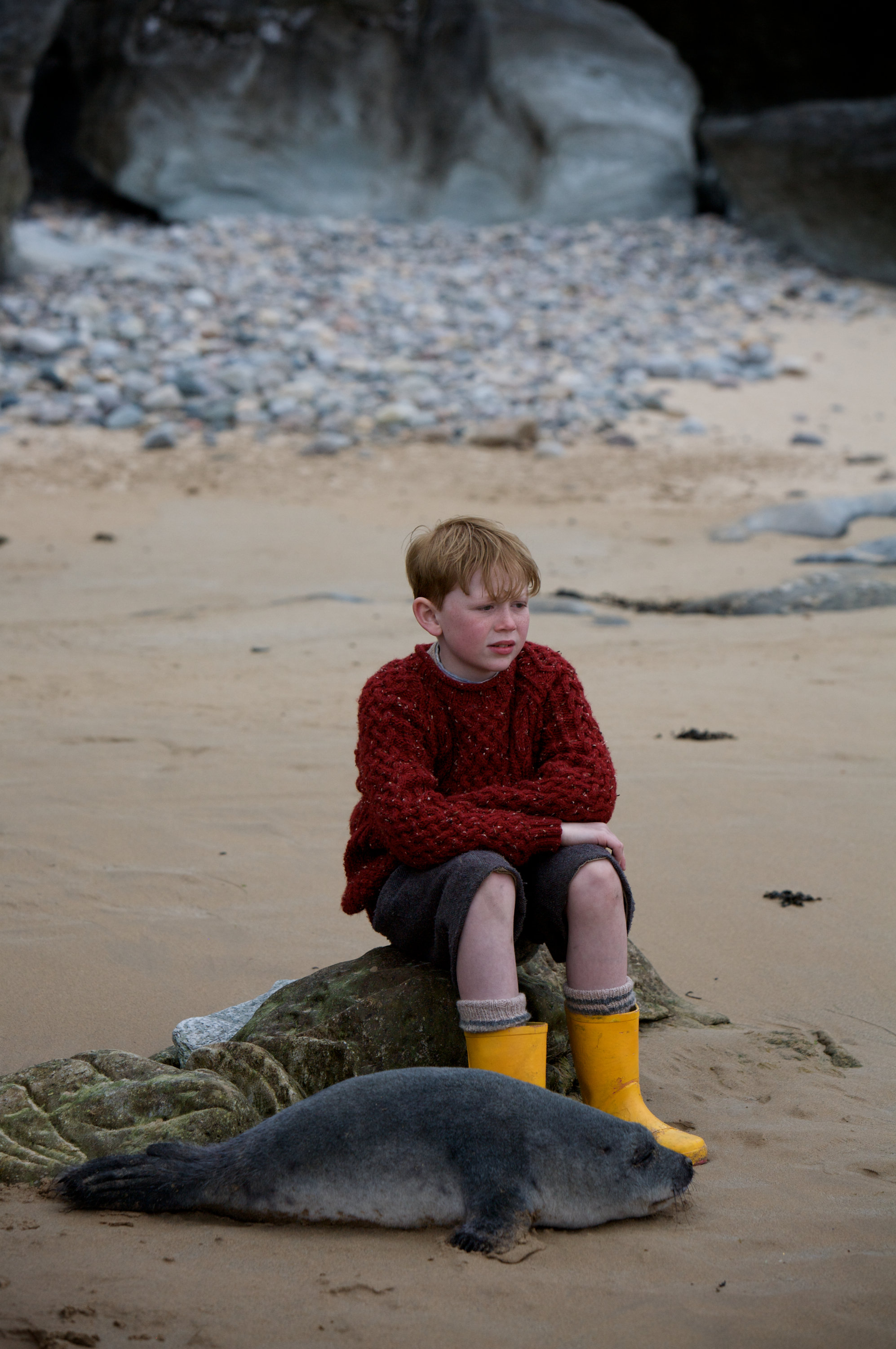 彩虹照耀剧照的剧照