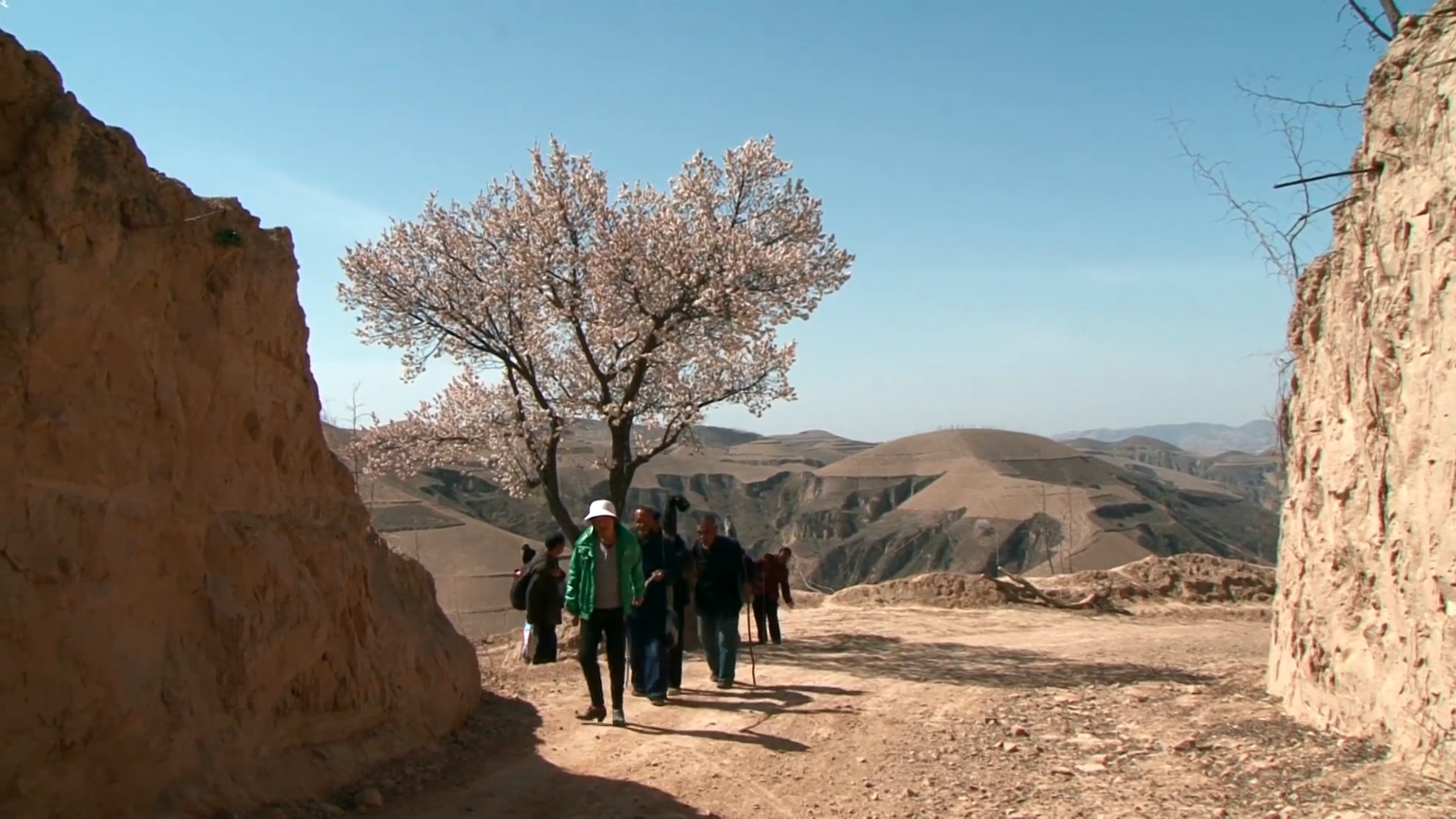 边走边唱剧照的剧照