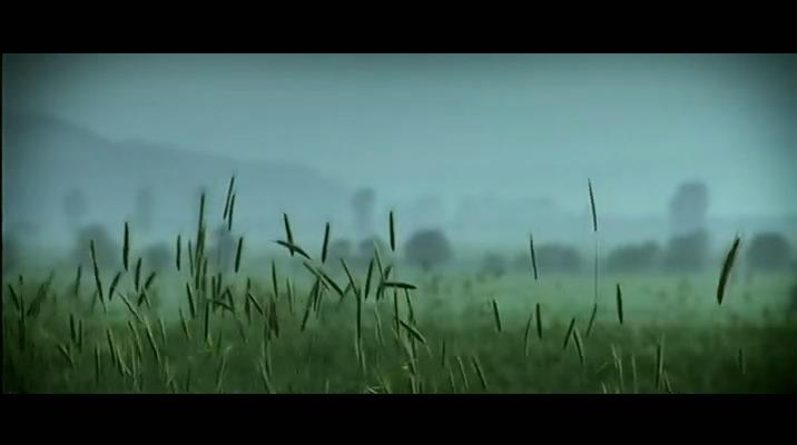 遗落之地剧照的剧照