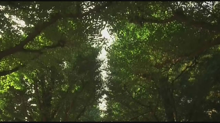 世界奇妙物语 电影特别篇剧照的剧照