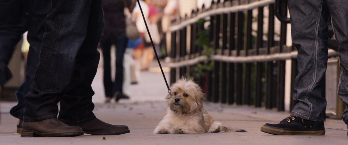 昨夜风流剧照的剧照